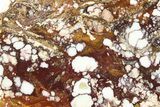 Polished Wild Horse Magnesite Slab - Arizona #264001-1